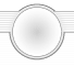 �X�V���